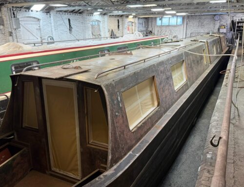 In pictures: Lancelot gets a new coat