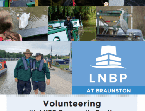 Make a difference in 2026 by volunteering with LNBP