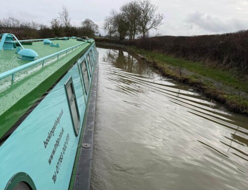 In pictures: Lancelot gets a new coat – complete and home again!